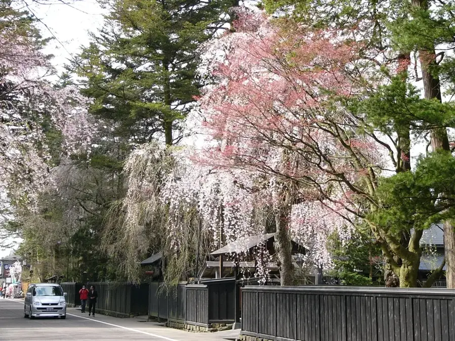 Kakunodate Samurai District