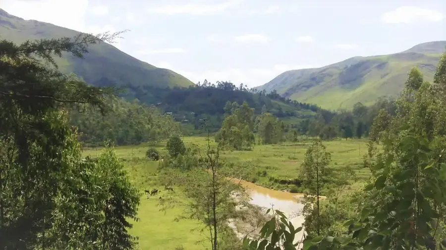 Kamanyola-Schlucht