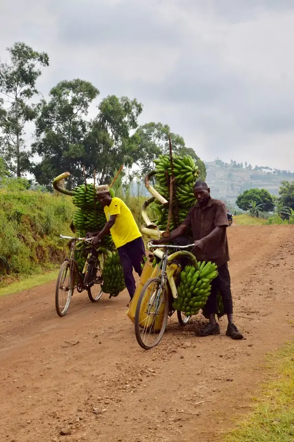 Kamwenge