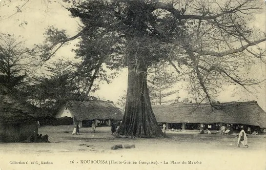 Câmpurile de orez din Kankan — Sanguiana (Guineea)
