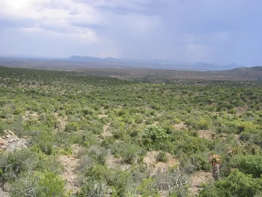 Karoo-Nationalpark — Beaufort West (Südafrika)