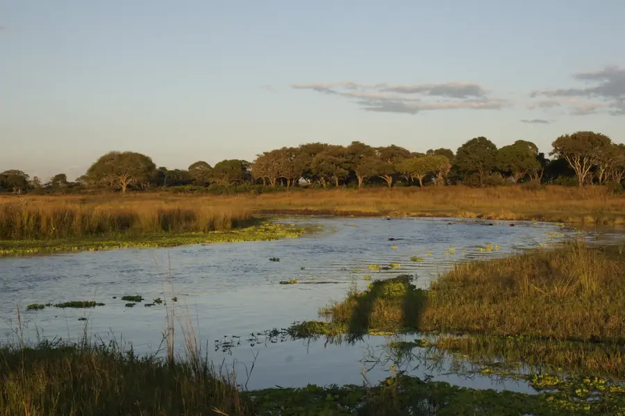 Parcul Katavi — Parcul Gombe (Tanzania)