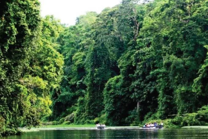 Katonga-Wildtierreservat — Katonga-Fluss (Uganda)