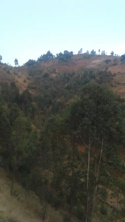 Deutsche Ruinen von Kayanza — Grab von Ntare Rushatsi (Burundi)