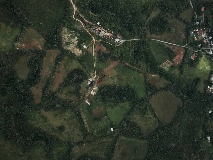 Kendal Yam Farms — Roxborough (Jamaica)