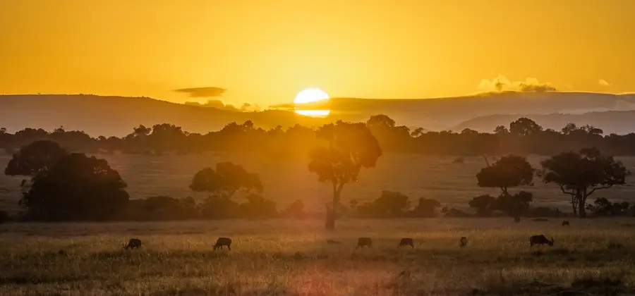 Maasai Mara — Kisii (Kenia)