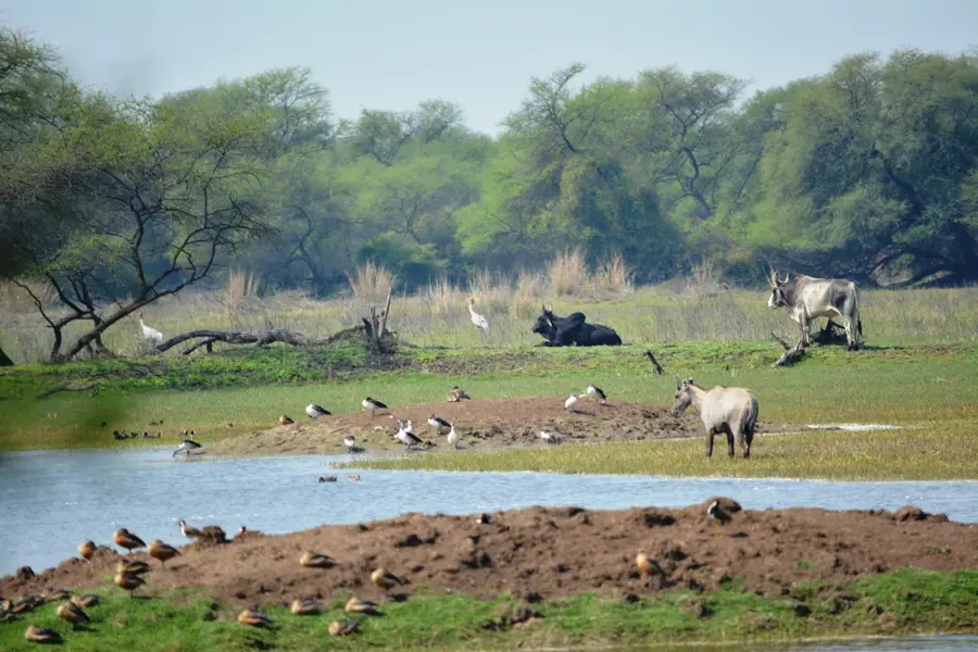Keoladeo National Park