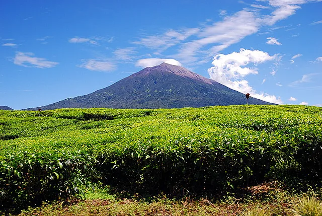 Nationalpark Kerinci Seblat