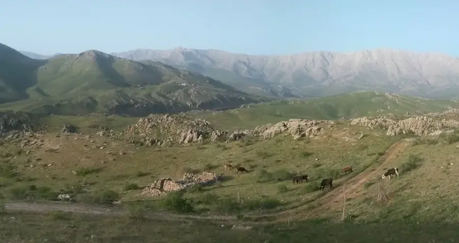 Kermanshah