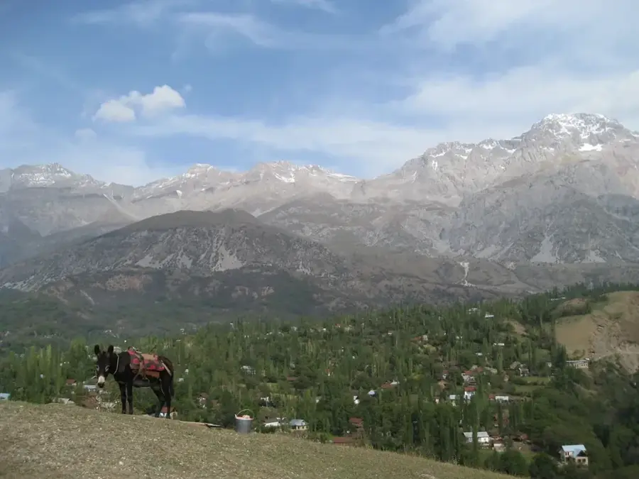 Pădurea de nuci Arslanbob — Osh (Kârgâzstan)
