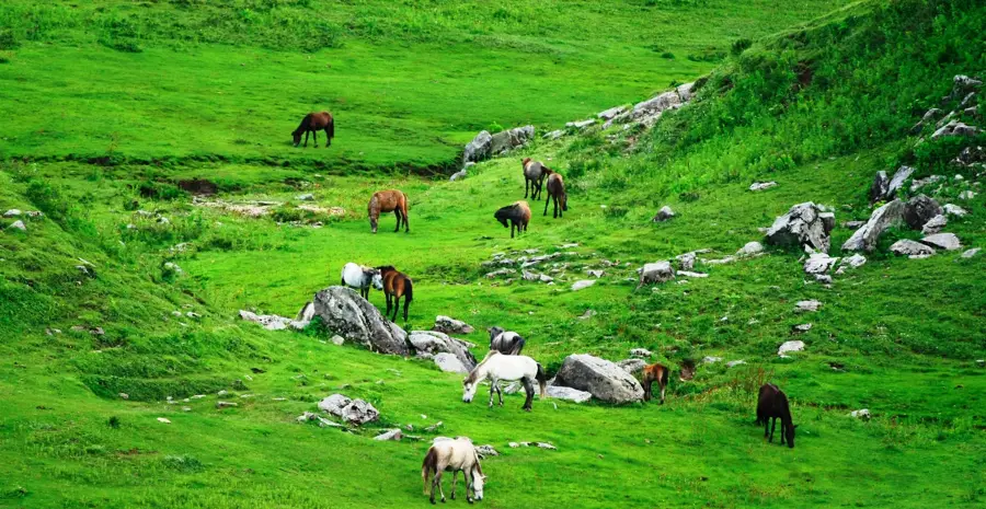 Khaptad-Nationalpark — Karnali (Nepal)