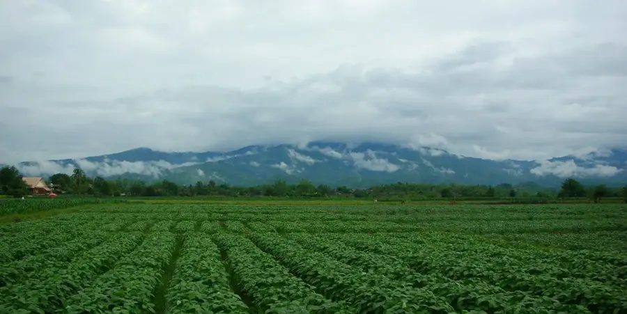 Lanțul Khun Tan — Mina de lignit Mae Moh (Thailanda)
