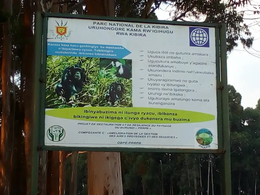 Kibira Nemzeti Park — Bugaramai emlékmű (Burundi)