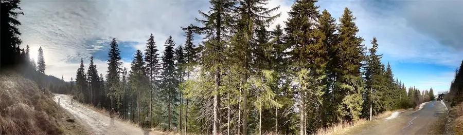 Arka Park Păltiniș — Sibiu (România)