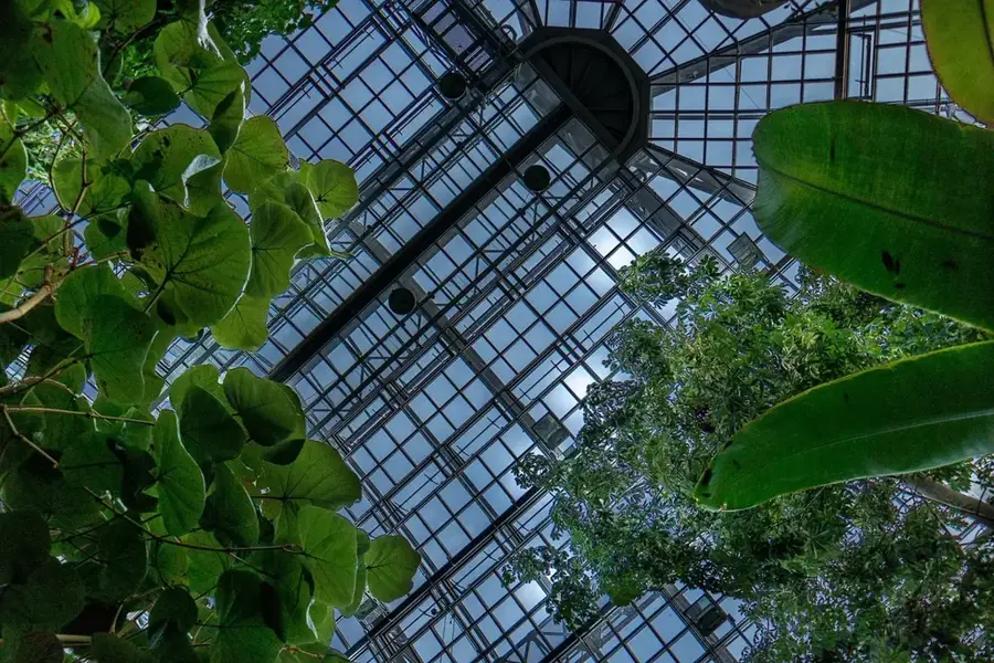Botanischer Garten Berlin — Steglitz (Deutschland)