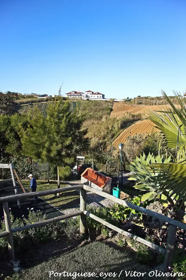 Dino Parque Lourinhã
