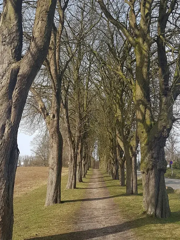 Hansa-Park Sierksdorf (Germany)