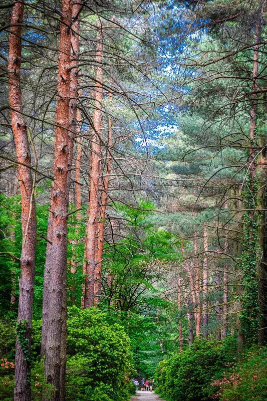Jeli Arborétum
