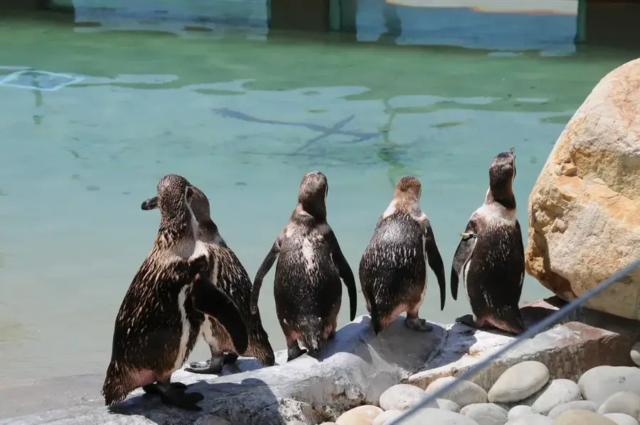 Zoo Santo Inacio