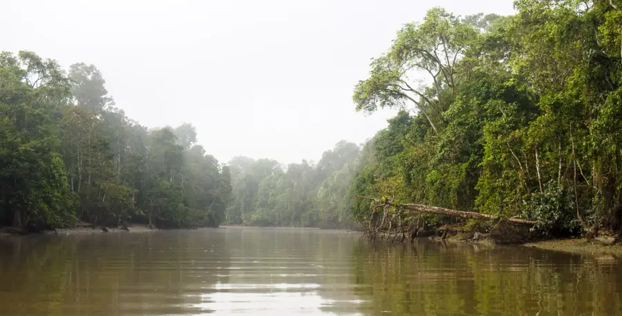 Kinabatangan-Fluss — Lahad Datu (Malaysia)