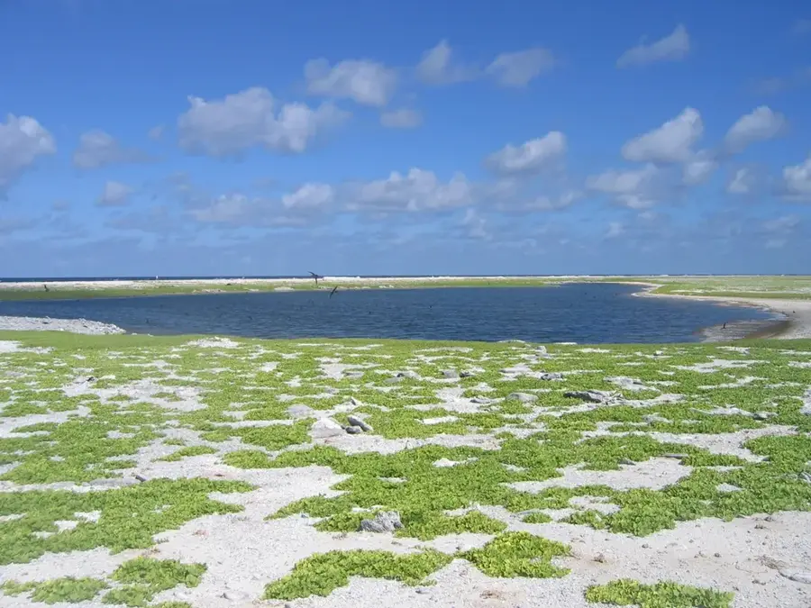 Birnie Island Bird Sanctuary