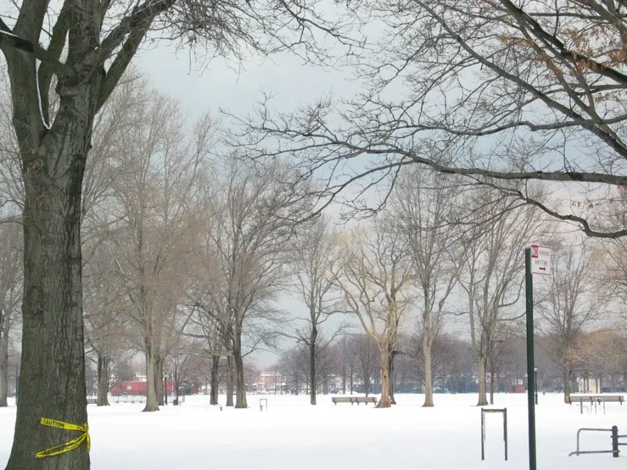 Millennium Marine Park