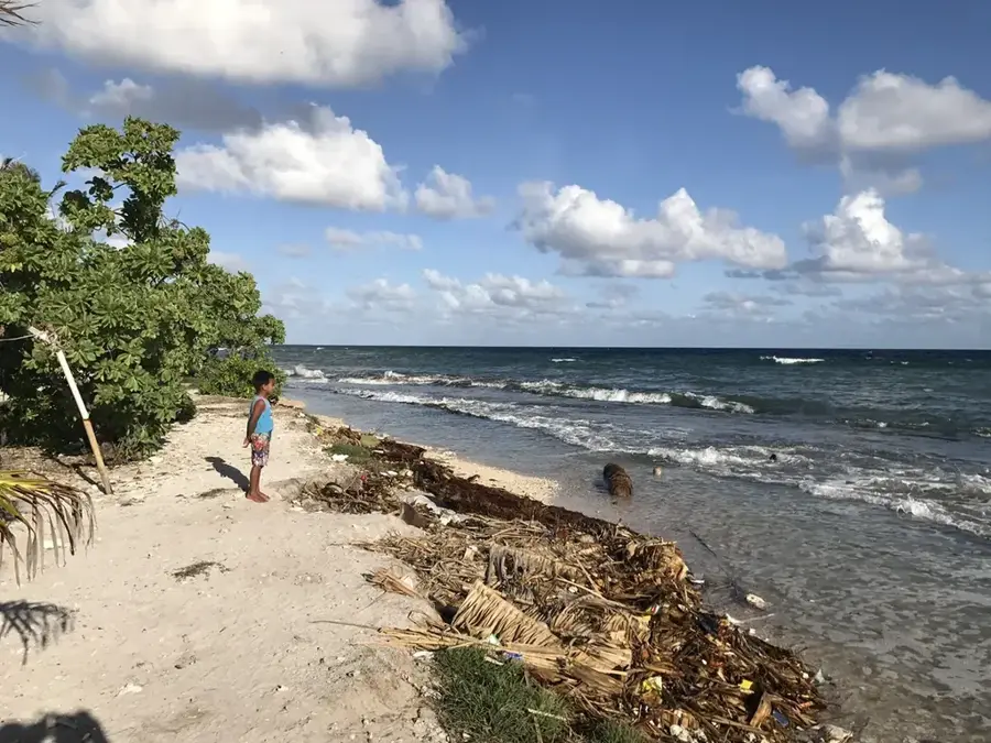 Teaoraereke — Biblioteca și Arhivele Naționale (Kiribati)