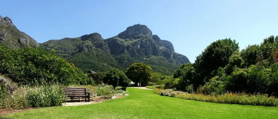 Kirstenbosch Botanischer Garten — Groot Constantia (Südafrika)