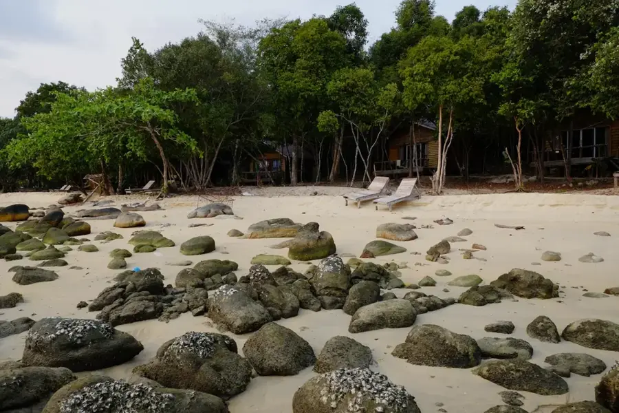 Koh Kong Reptilienschutzzentrum — Phnom Samkos (Kambodscha)