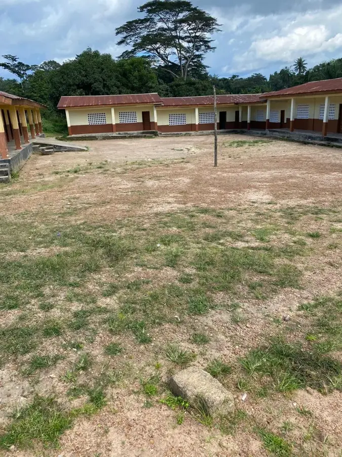 Koidu