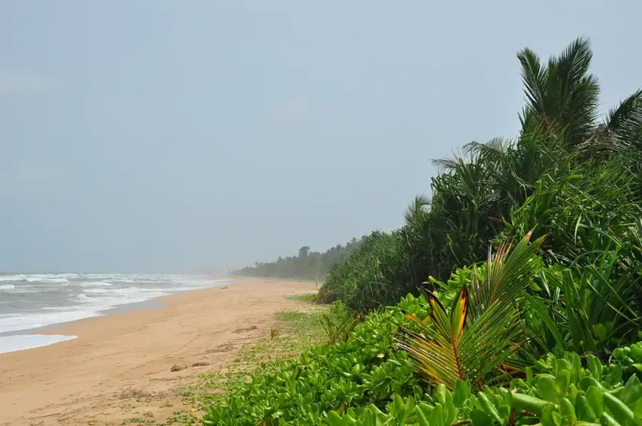 Meeresschildkröten-Schutzprojekt Kosgoda — Madu-Fluss (Sri Lanka)