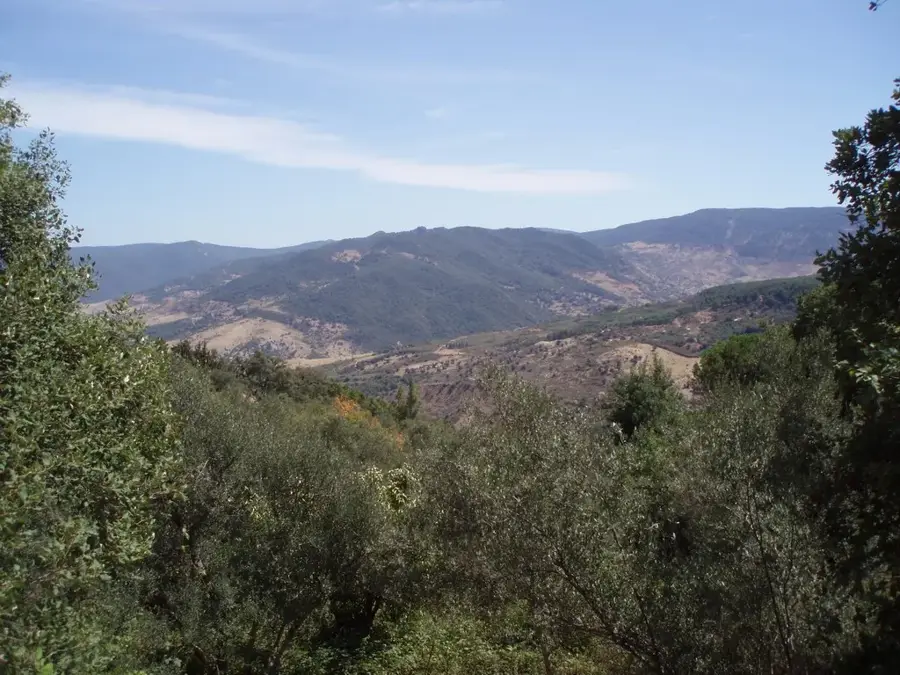 Kroumirie-Gebirge — Manouba (Tunesien)