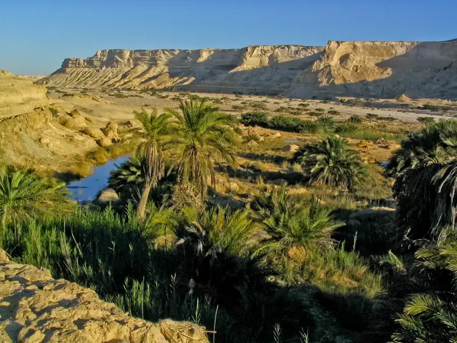 Ksar of Ouargla