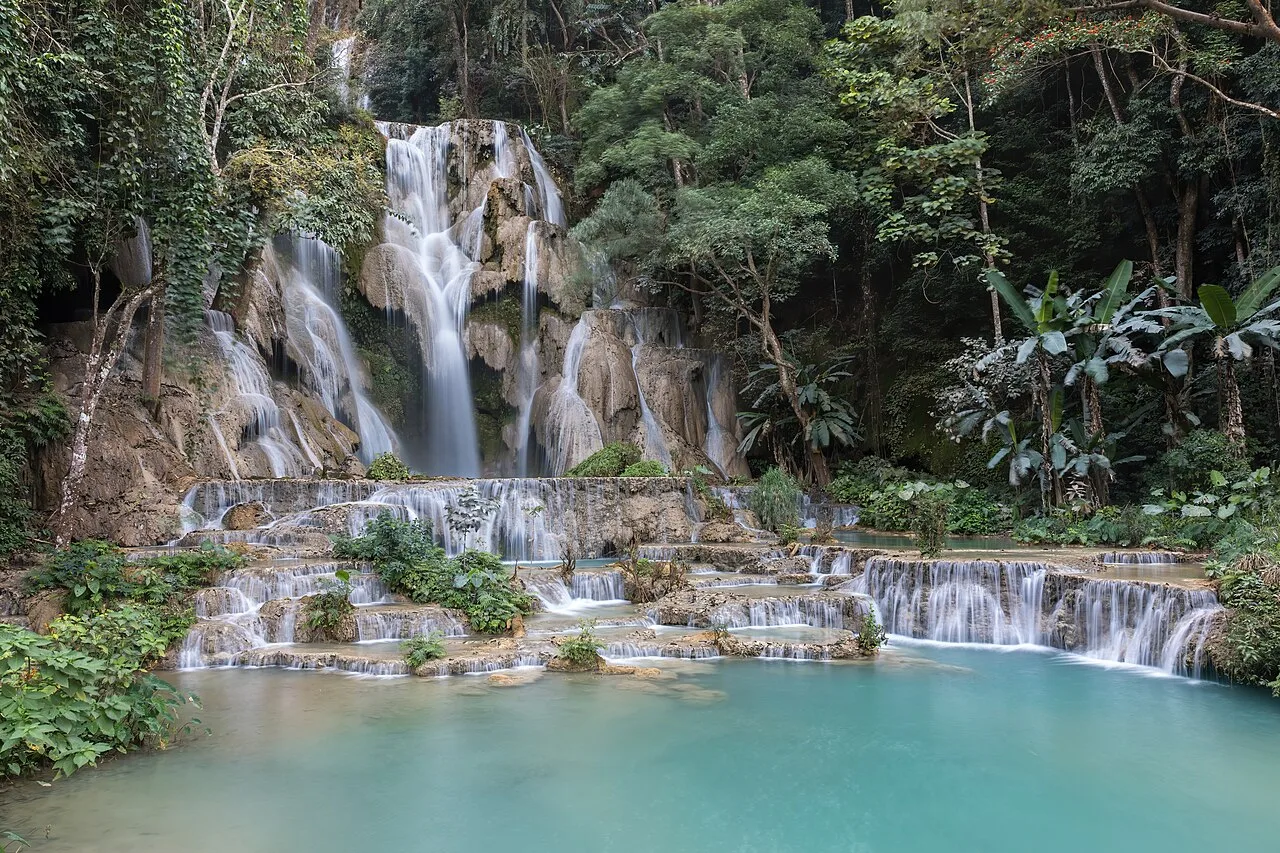 Kuang Si Bear Rescue Centre — Boten Specific Economic Zone (Laos)