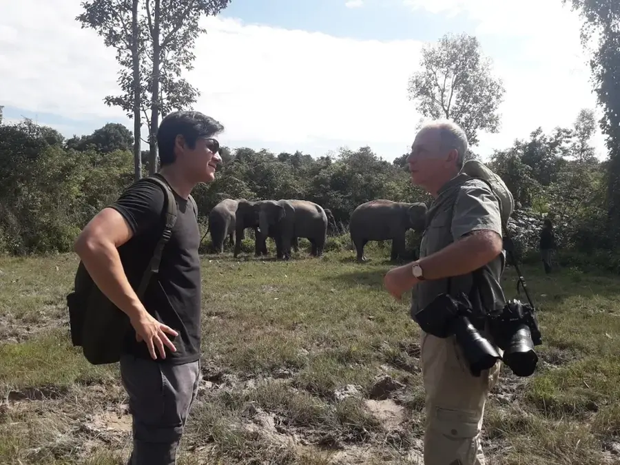 Kulen Elephant Forest — Dangrek Mountains (Cambodia)