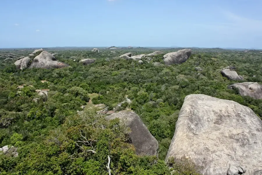 Parcul Național Kumana — Arugam Bay (Sri Lanka)