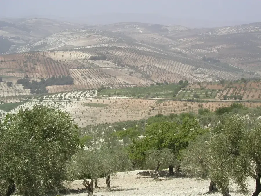 Kurd Dagh — Dschebel Samaan (Syrien)