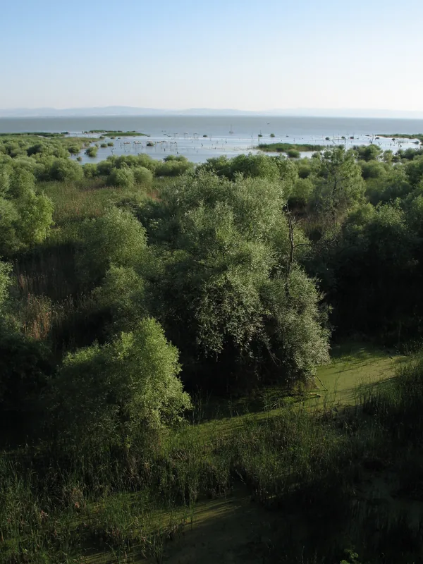 Kuşcenneti National Park — Balıkesir (Turkey)