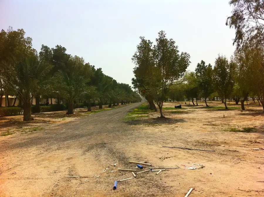 Messila-Küste — Kuwait Zoo (Kuwait)