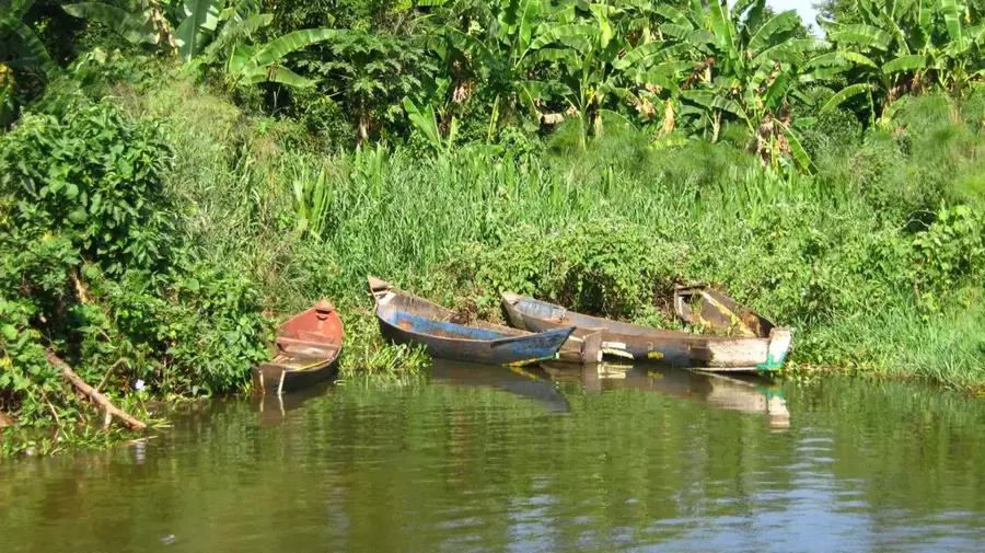 Lake Kyoga — Sunflower Fields (Uganda)