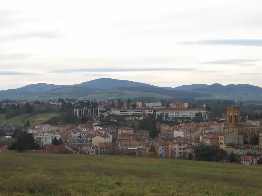 L'Arbresle – city