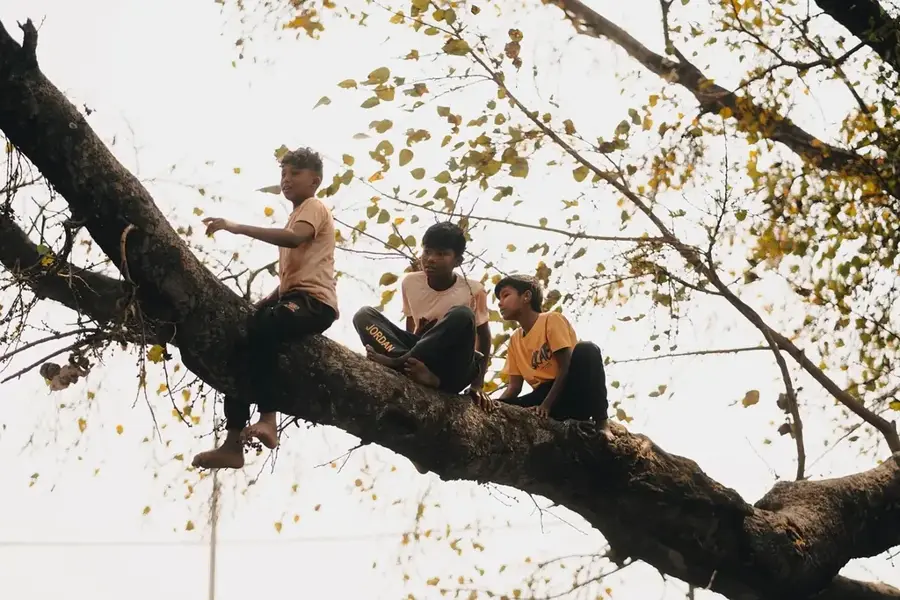 La Casa del Árbol — Latacunga (Ecuador)