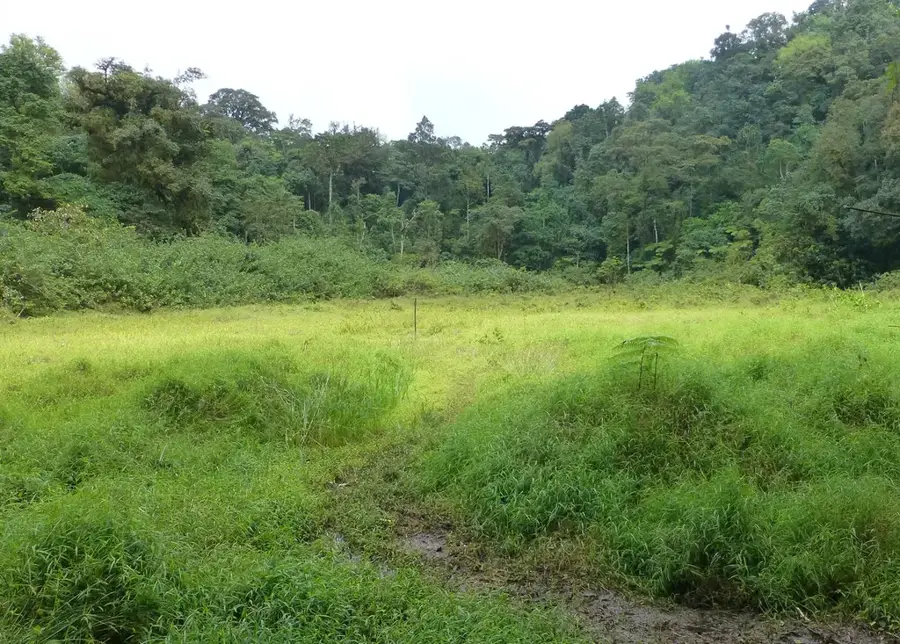 Lagoa Amélia — Trindade (São Tomé și Príncipe)
