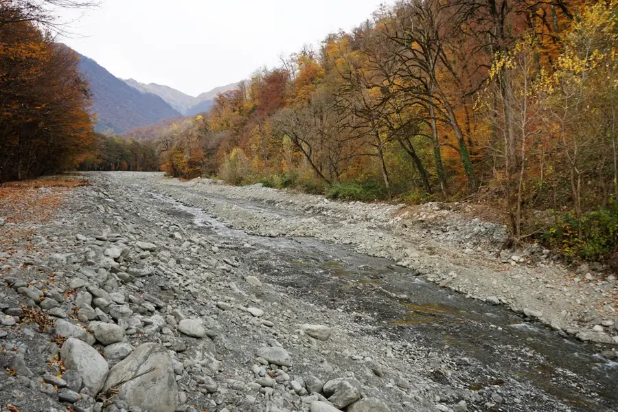 Rezervația Naturală Lagodekhi — Alazani (Georgia)