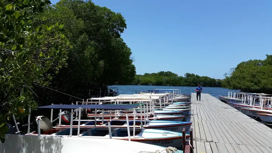 La Restinga Lagoon