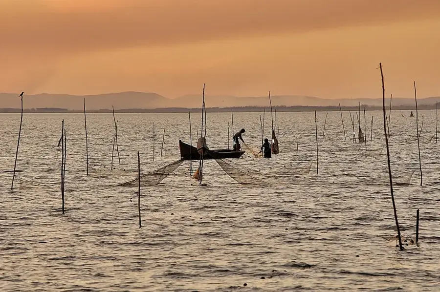Laguna de Rocha — Lascano (Uruguay)