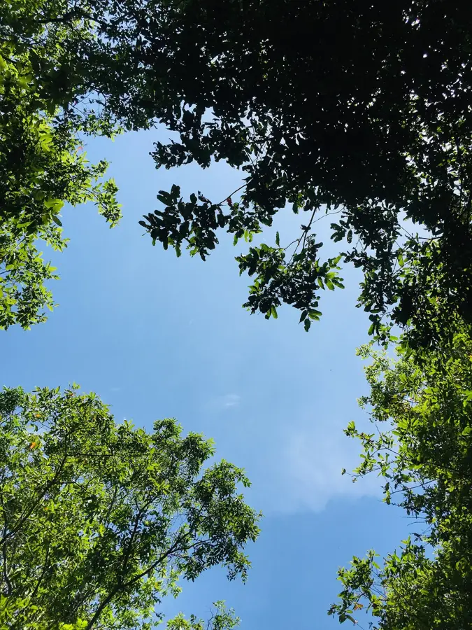 Parcul Național Lahugala Kitulana