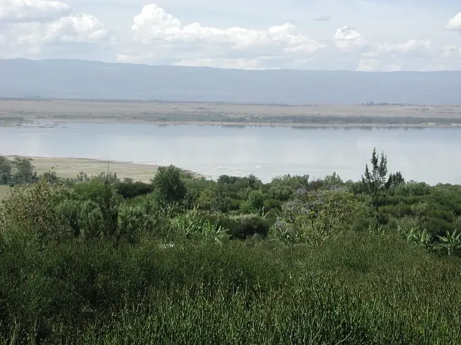 Elementaita-tó (Kenya)