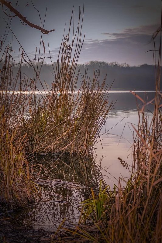 Lake Naplas — Danube (Hungary)