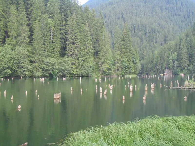 Lacul Roșu – lac